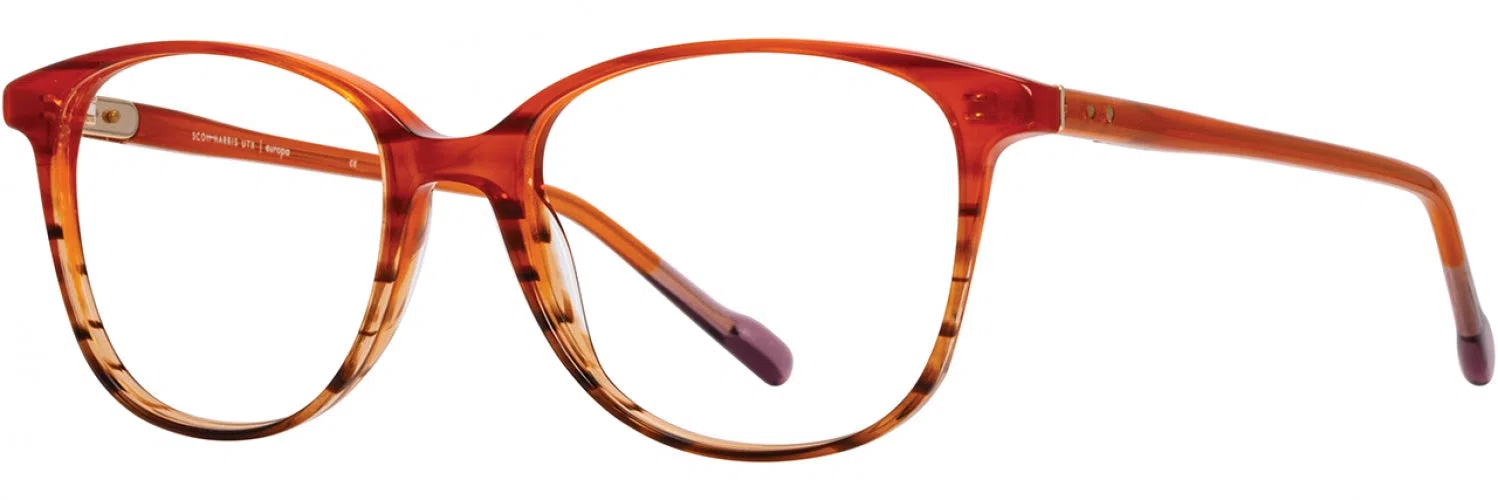 Scott Harris SHX028 Eyeglasses - view 9